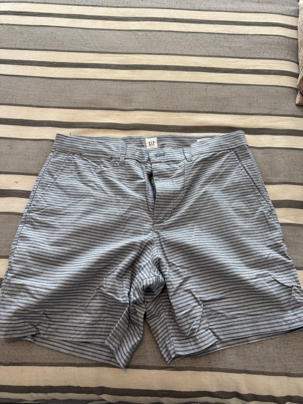 GAP Blue and White Striped Shorts